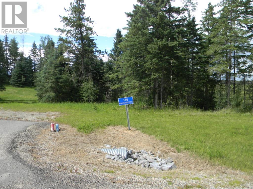 116 Meadow Ponds  Drive, rural clearwater county, Alberta