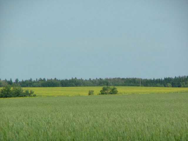 A51069 Hwy 814, beaumont, Alberta