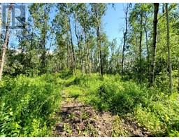 Lot 4 Campsite Road, plamondon, Alberta