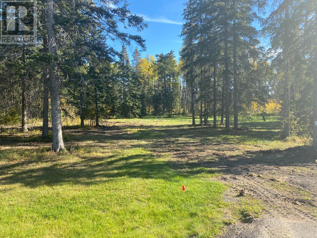 202 High Timber Place, rural clearwater county, Alberta