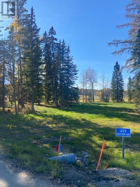 409 Meadow Ponds  Drive, rural clearwater county, Alberta