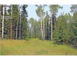 5 RIDGELAND, rural clearwater county, Alberta