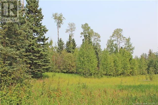 4 FOREST, rural clearwater county, Alberta