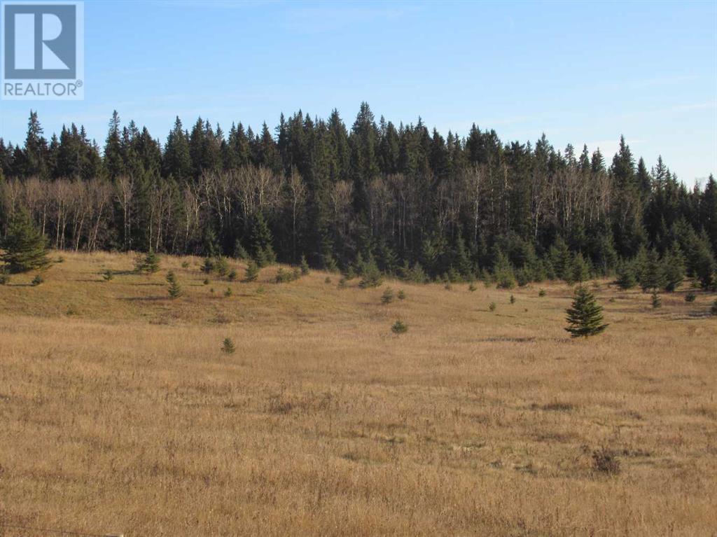 Township Road 41-0, rural clearwater county, Alberta