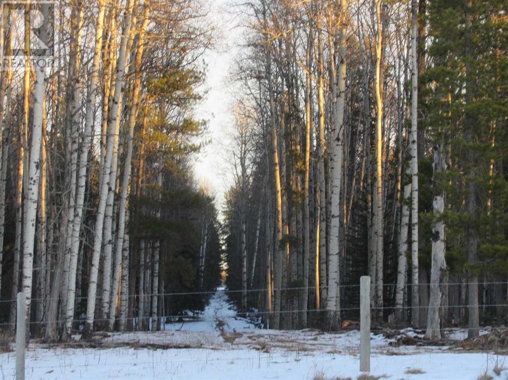 Cow Creek Road, rural clearwater county, Alberta