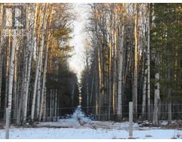 Cow Creek Road, rural clearwater county, Alberta