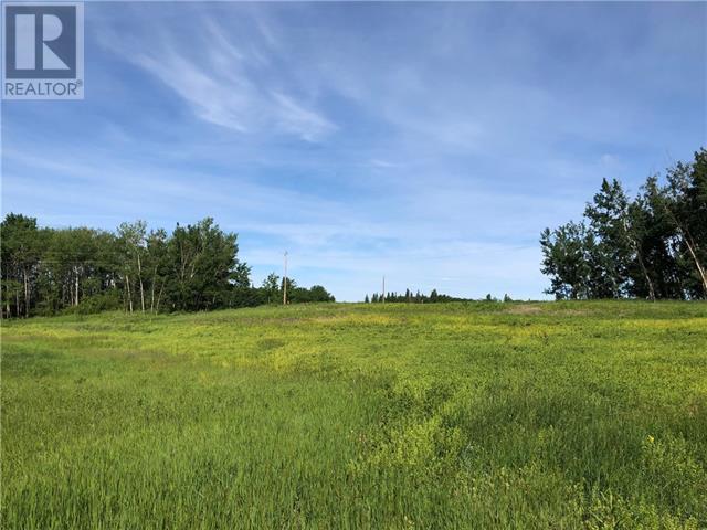 Lot 12 Campsite Road, plamondon, Alberta