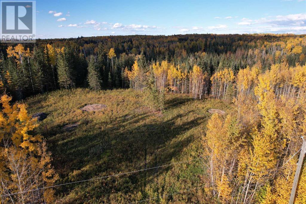 Lot 5 114046 Township 590, rural woodlands county, Alberta