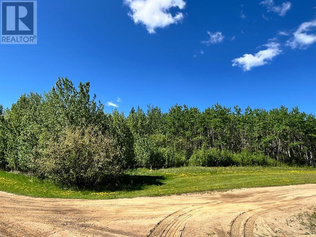 Lot 4 163 Range Road, plamondon, Alberta