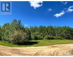 Lot 4 163 Range Road, plamondon, Alberta