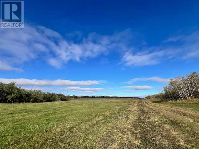 On Township Road 454, rural flagstaff county, Alberta