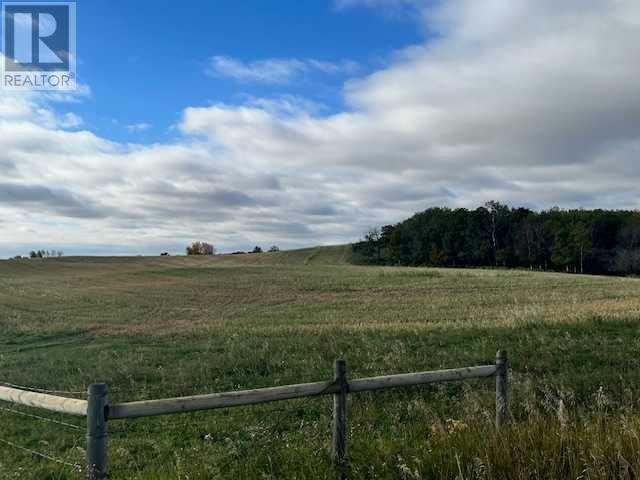 On Township Road 454, rural flagstaff county, Alberta