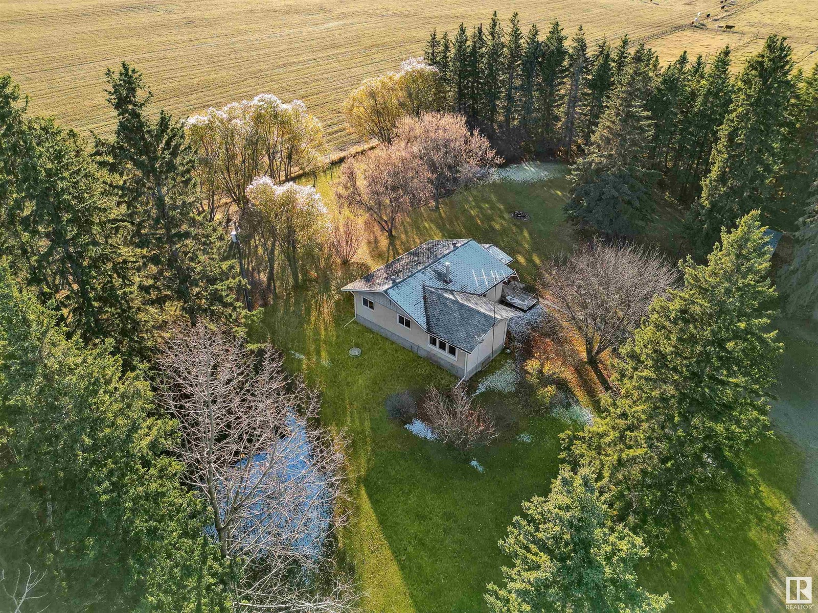 48224 Range Road 81, rural brazeau county, Alberta